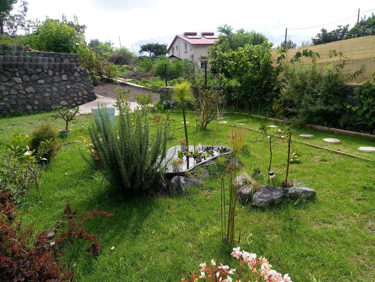 Les Jardins Creoles Appartement Cilaos Buitenkant foto